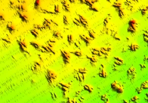 Hardbottom seafloor features with every missing band reconstructed seamlessly by AI
