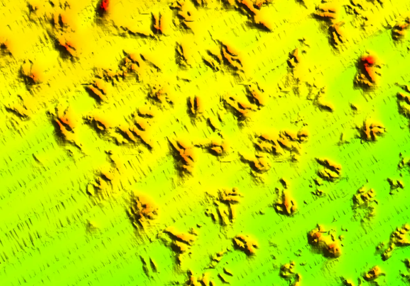 Hardbottom seafloor features with every missing band reconstructed seamlessly by AI