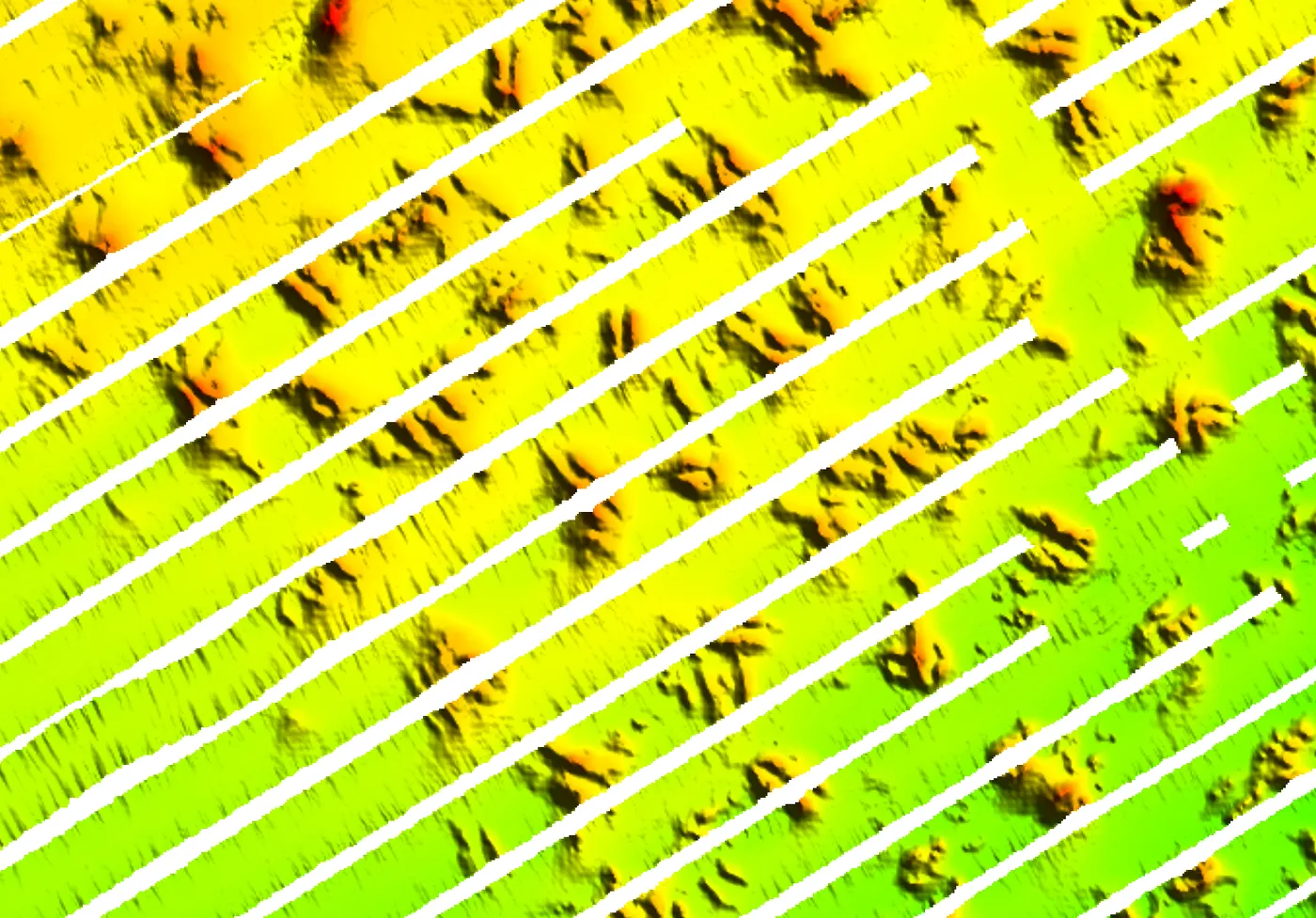 Hardbottom seafloor features with wide bands of missing depth data